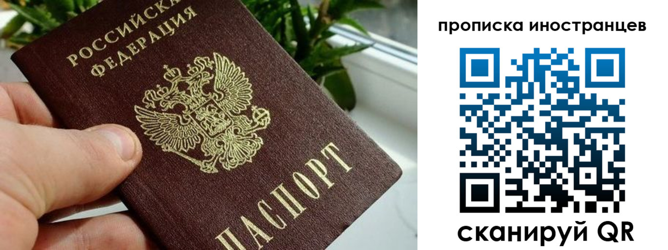 временная регистрация в Ясногорске